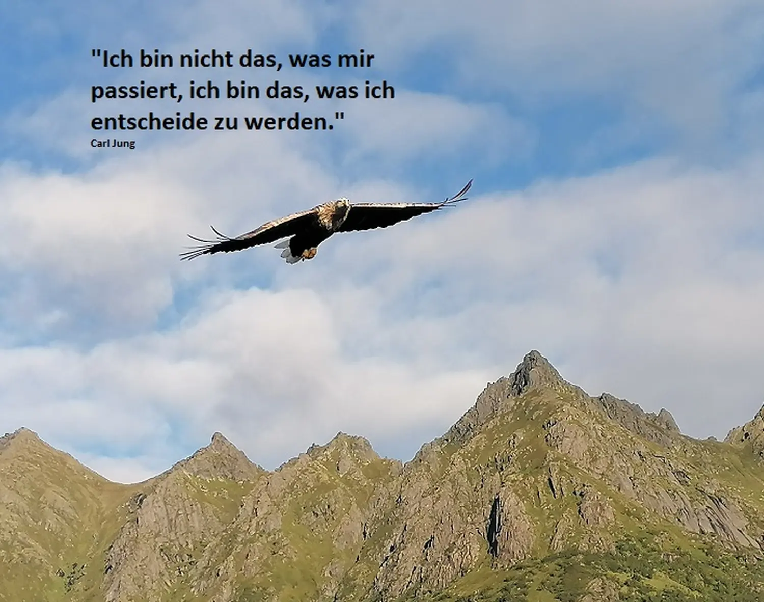 Bannner