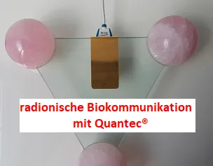 Meditationsbanner